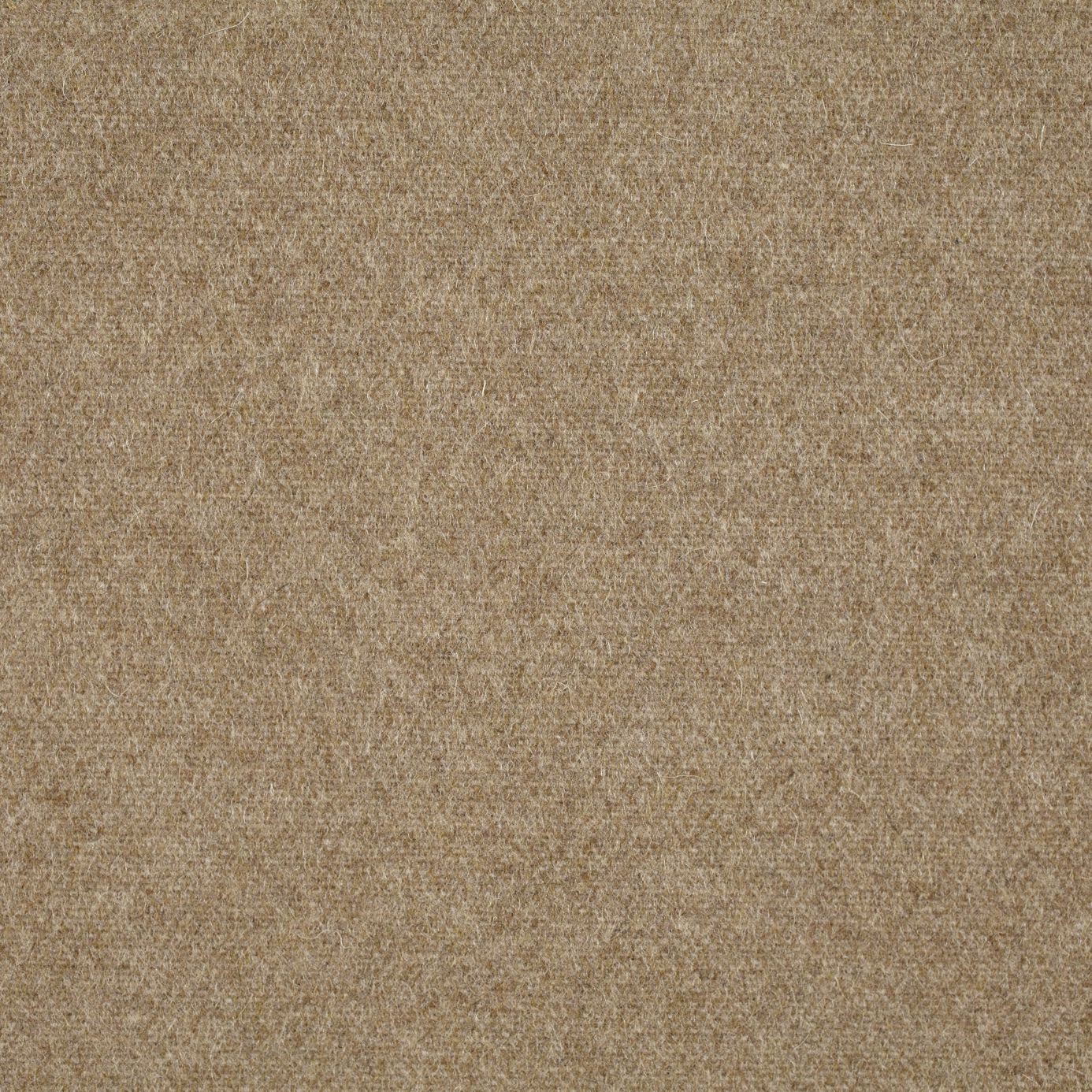 Byron Wool Plains DWOL235286