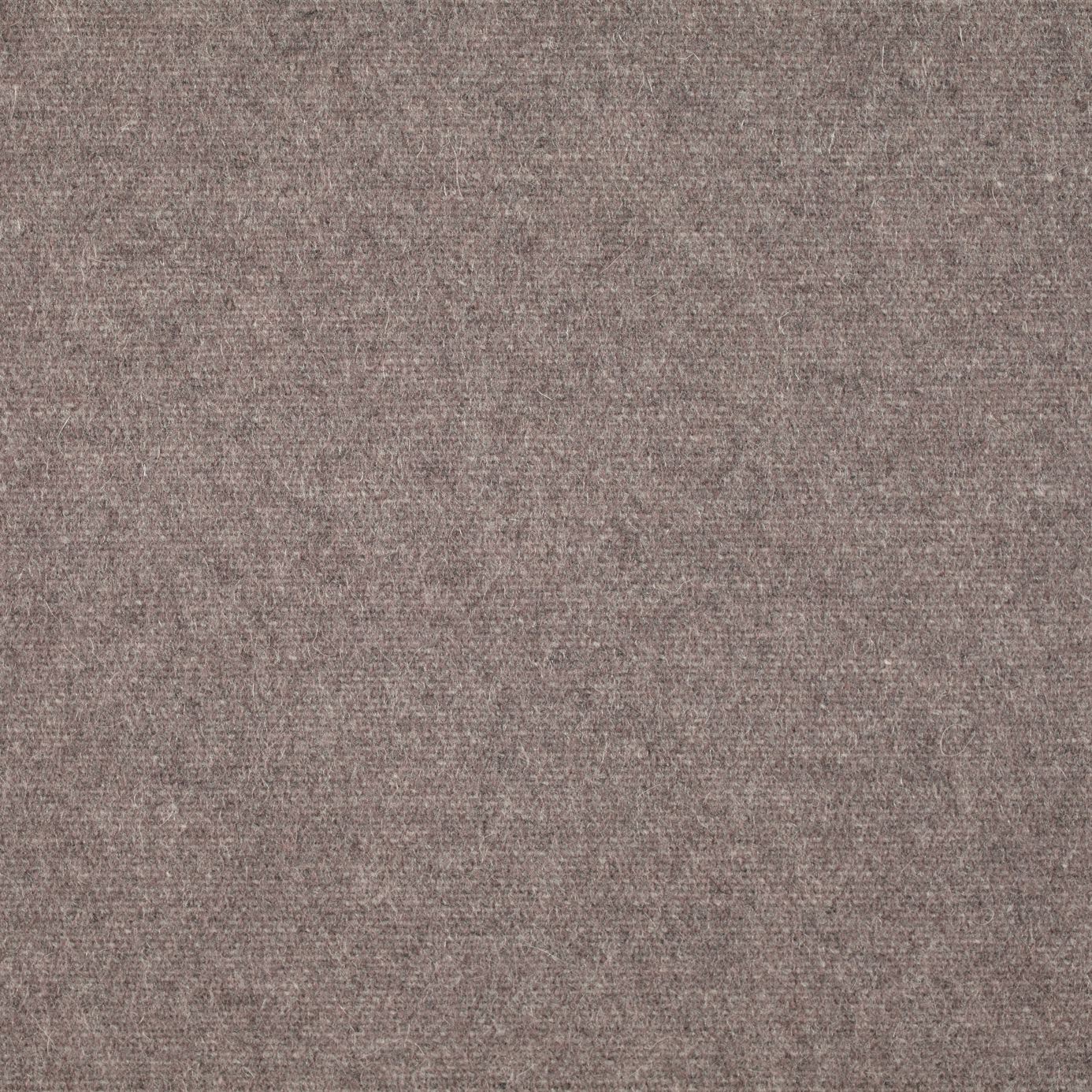 Byron Wool Plains DWOL235293