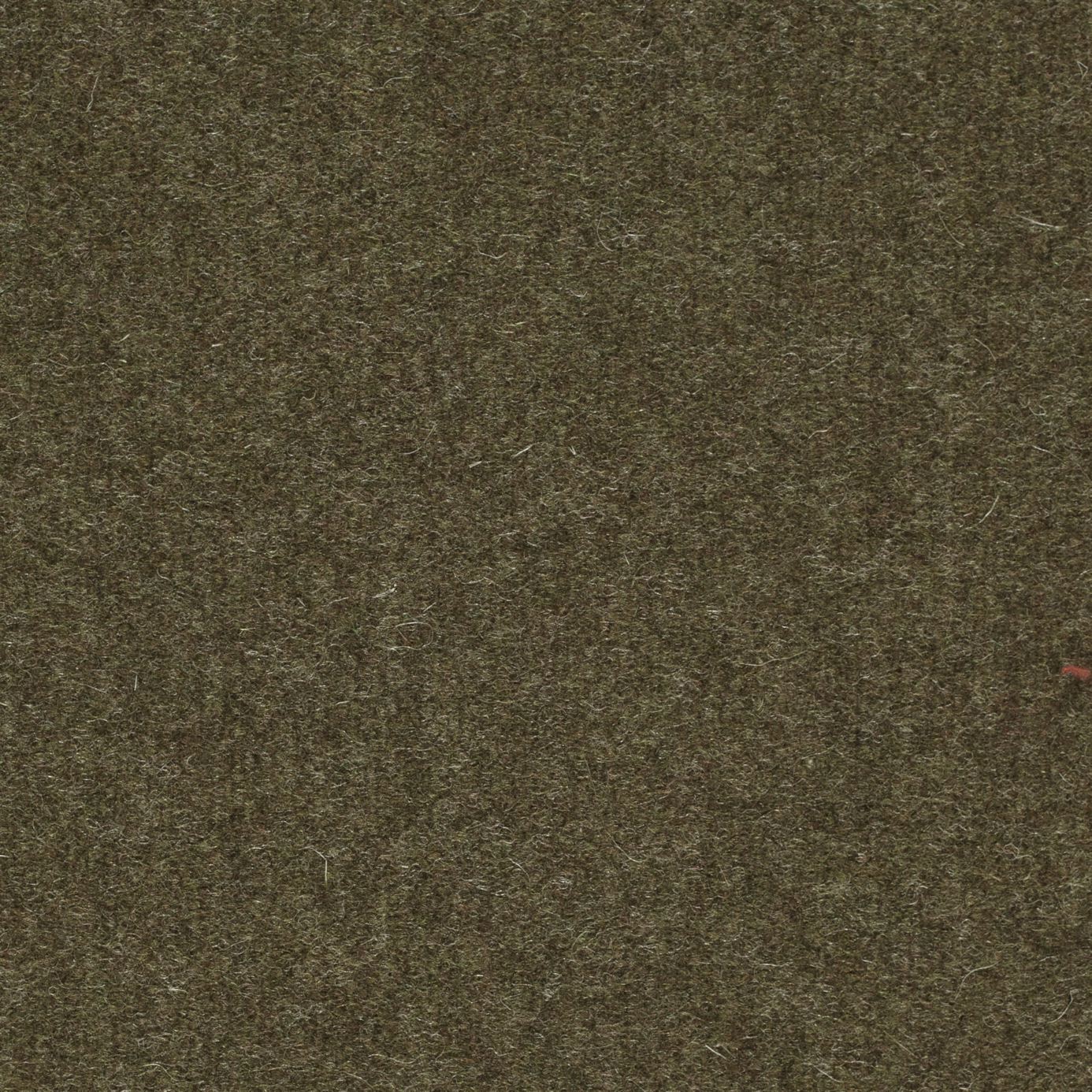 Byron Wool Plains DWOL235314