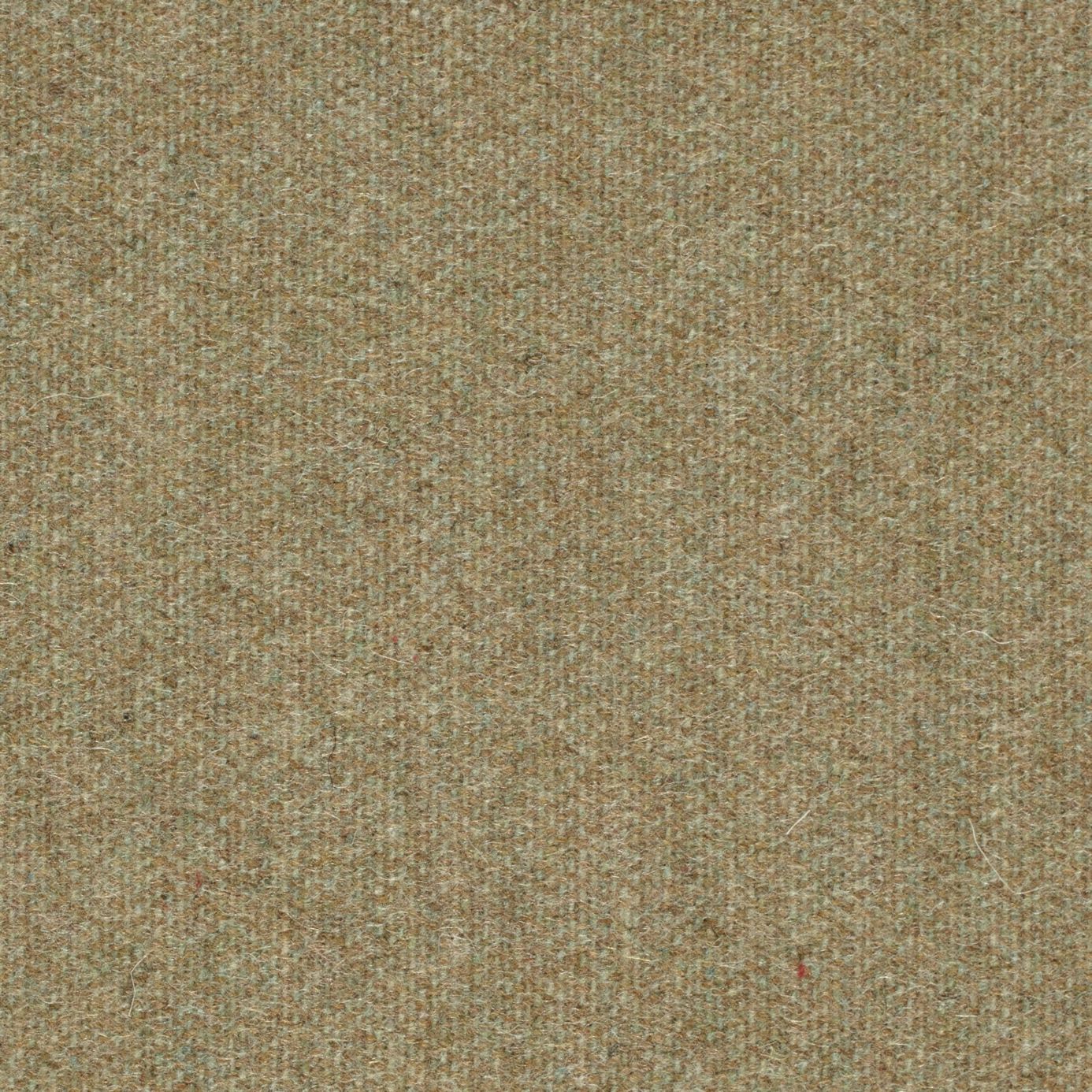 Byron Wool Plains DWOL235315