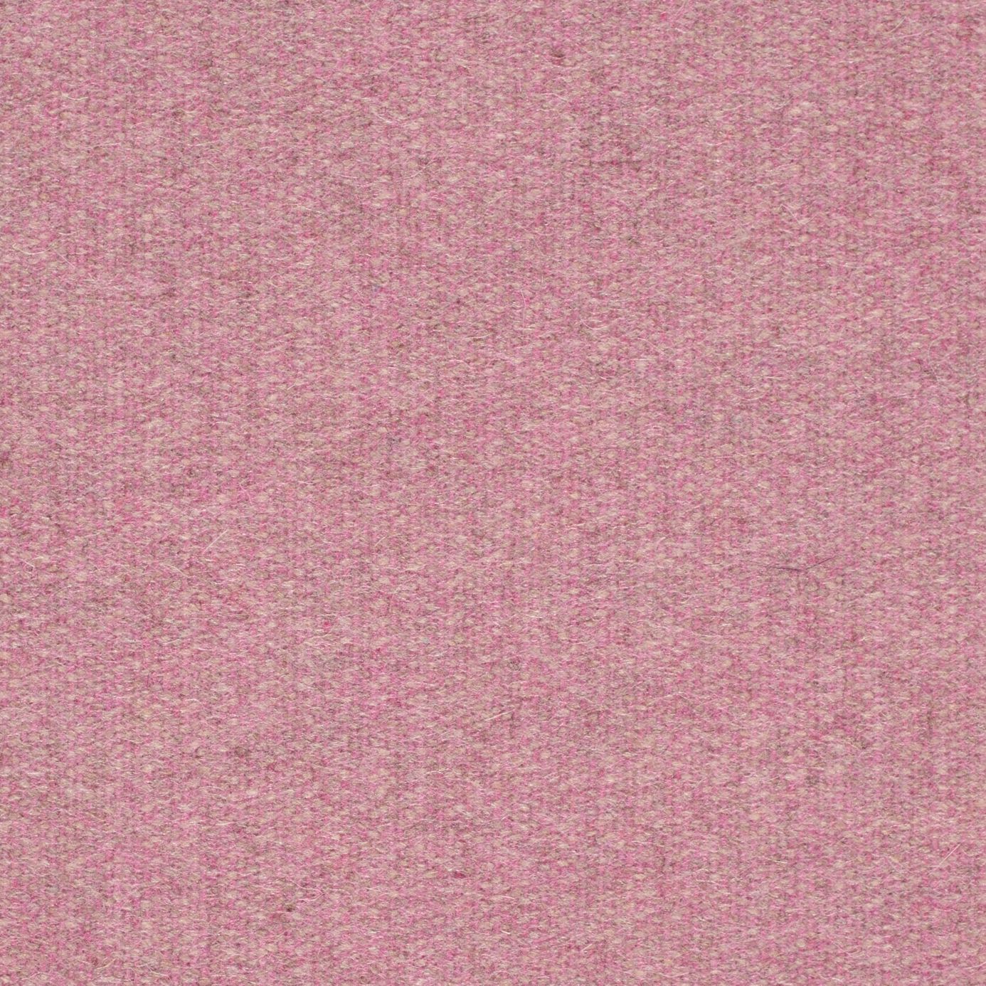 Byron Wool Plains DWOL235316