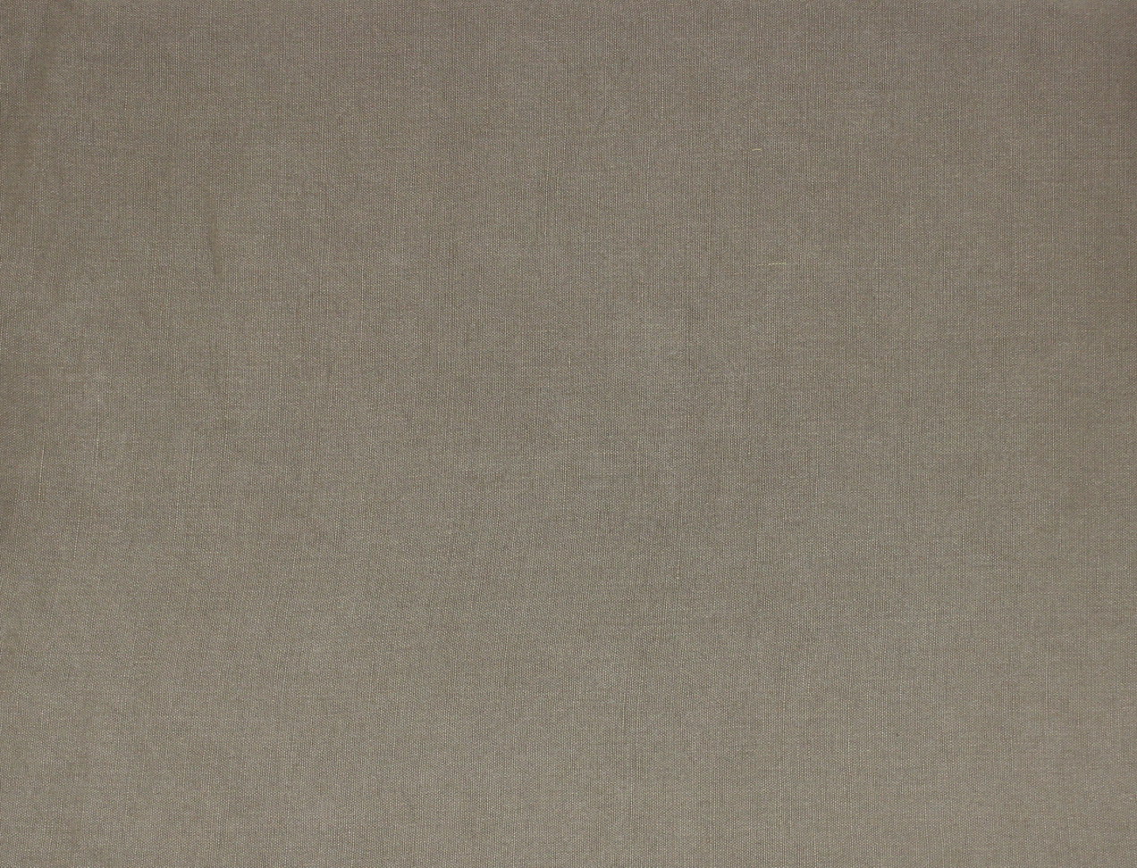Bolgheri 165496