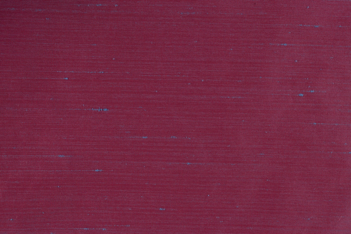 Burano 220644