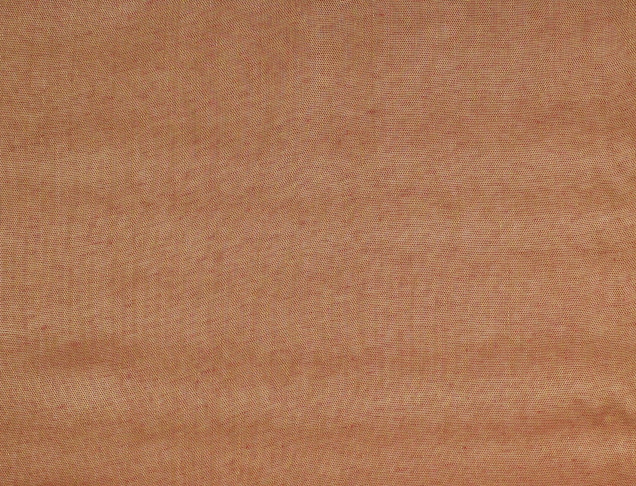 Capalbio 000196