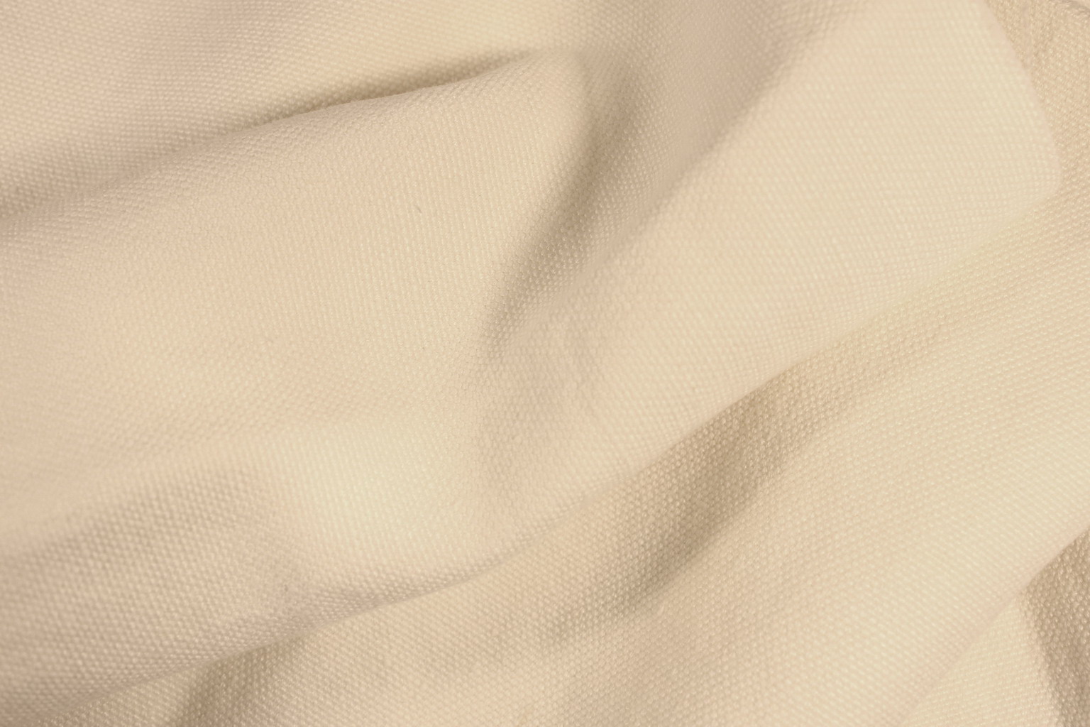 Carducci 201858