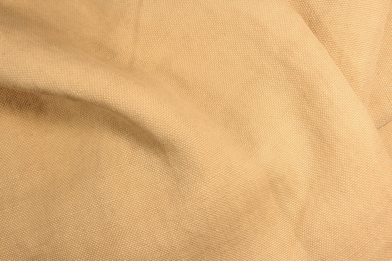 Carducci 201862