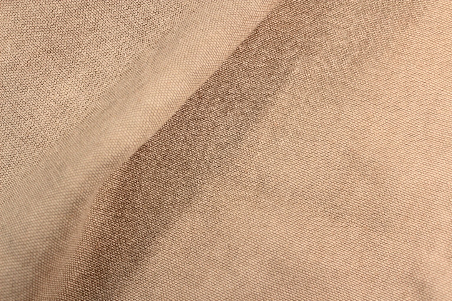 Carducci 201863