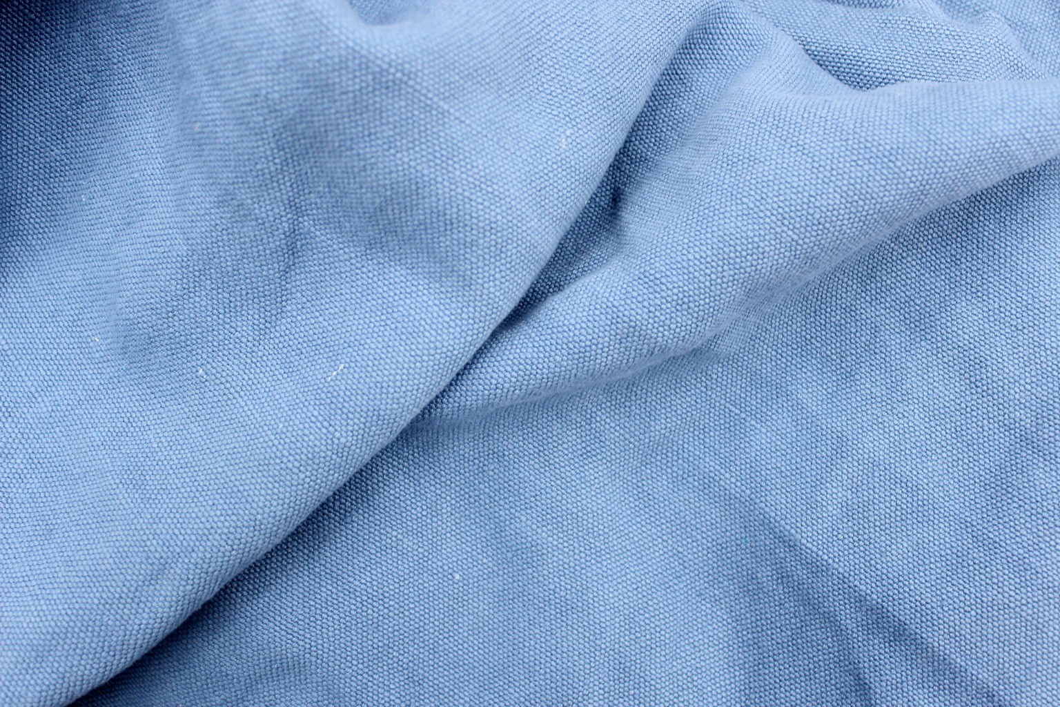 Carducci 201869
