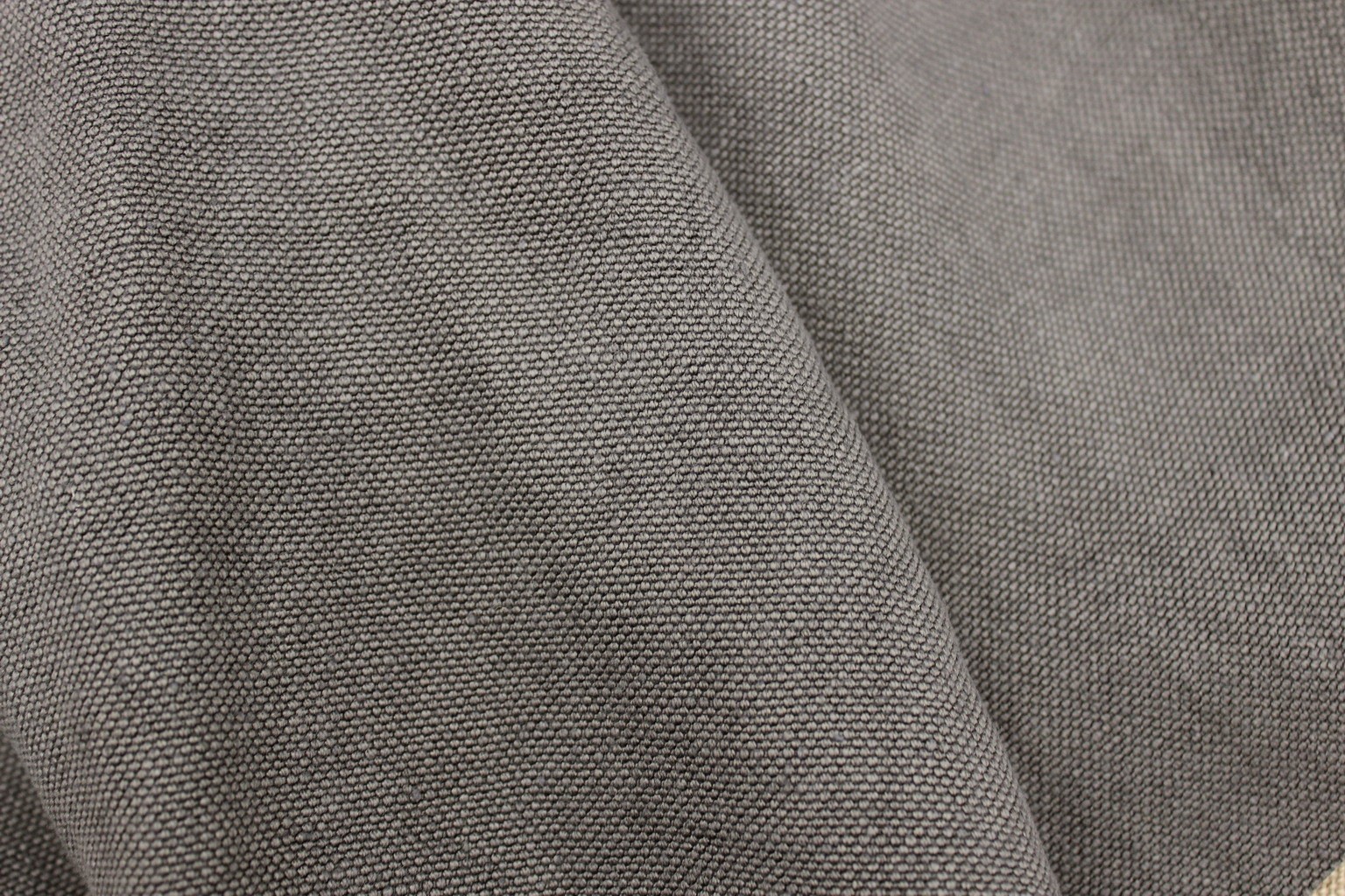 Carducci 201871