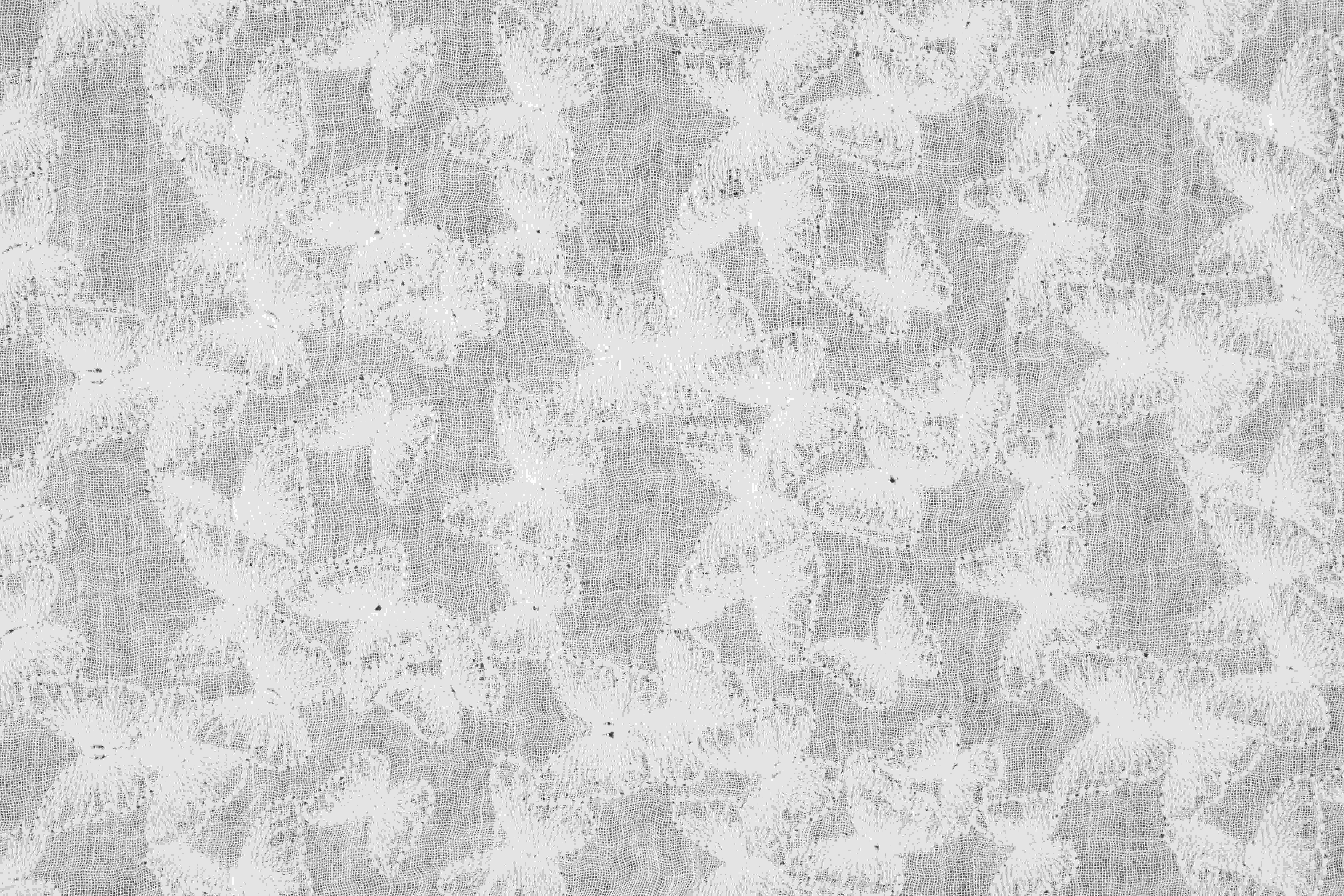 Cassiopea Broderie 211301