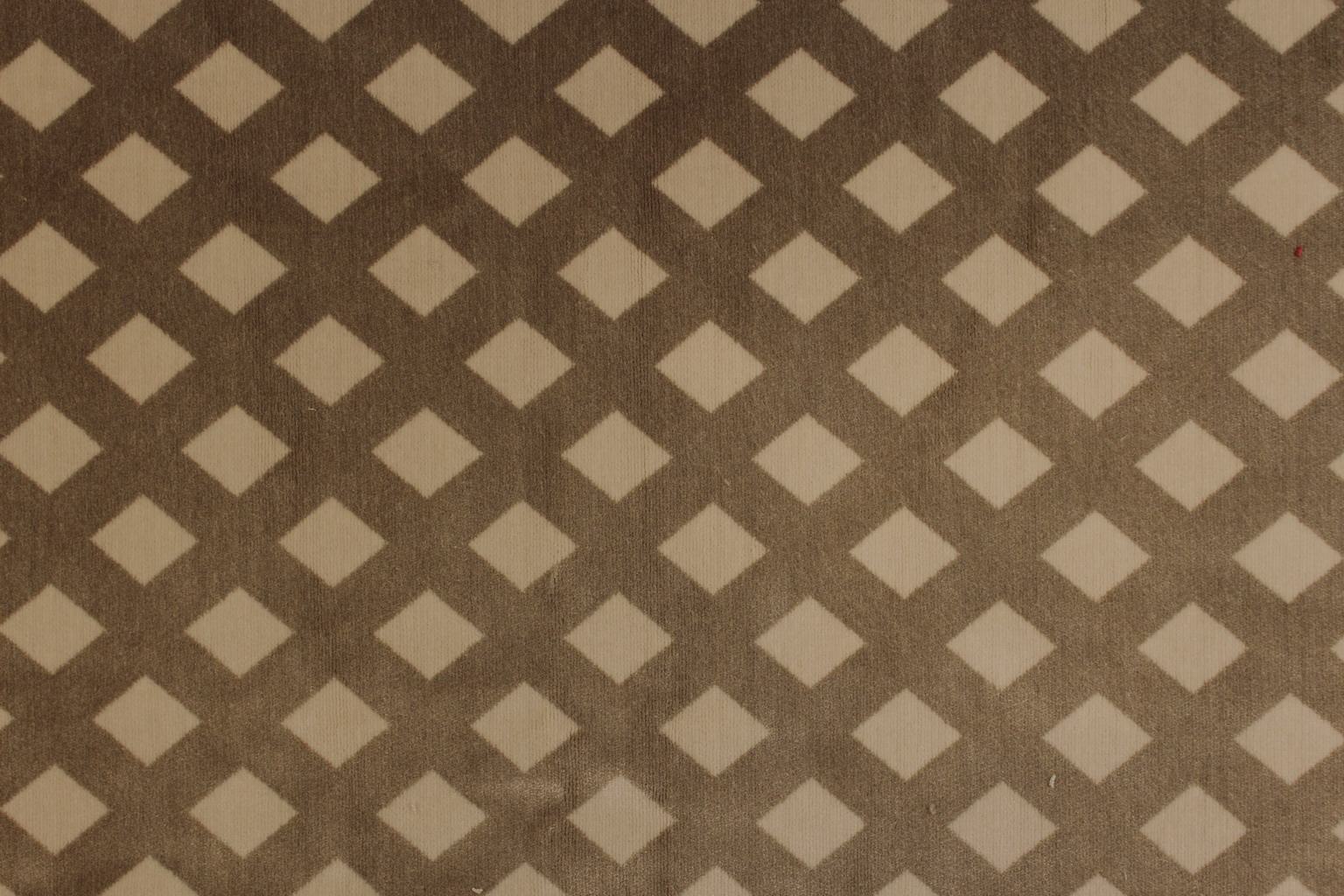 Dama 185725