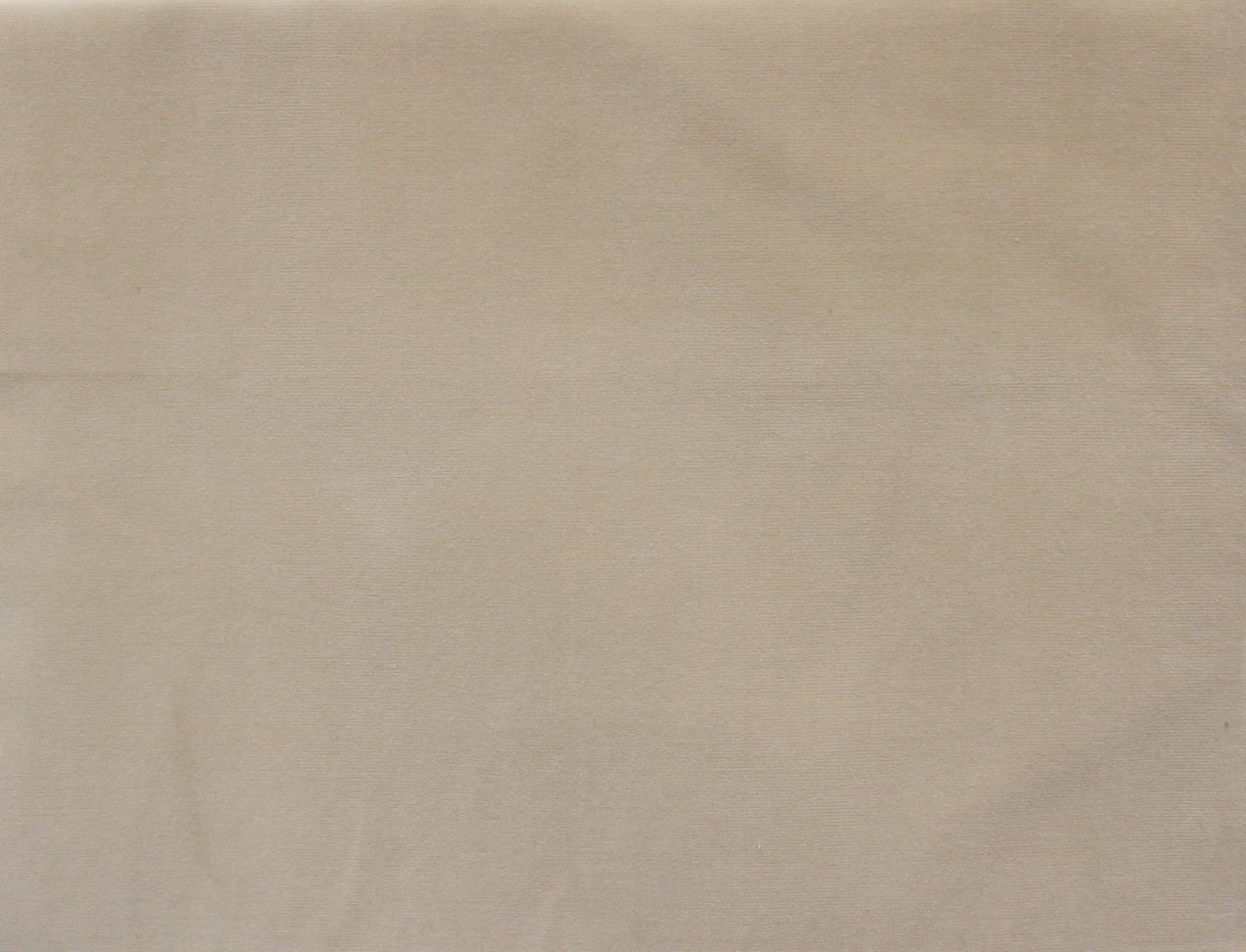 Liocorno 177255