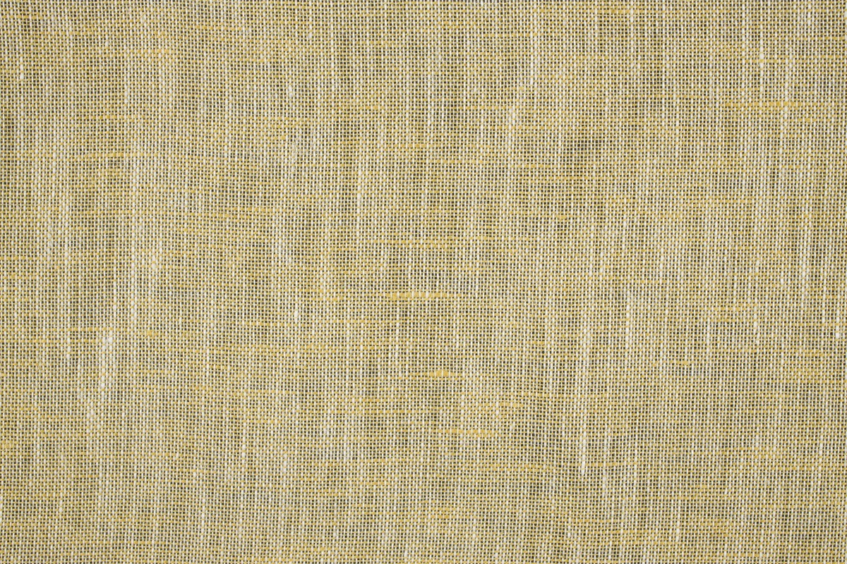Mandolino 213971