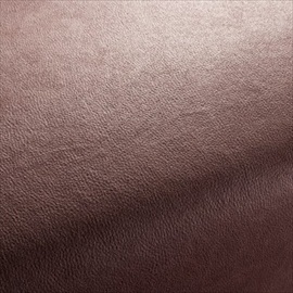 Boxter CA1038-012