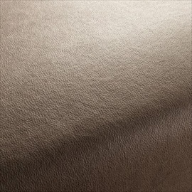 Boxter CA1038-020