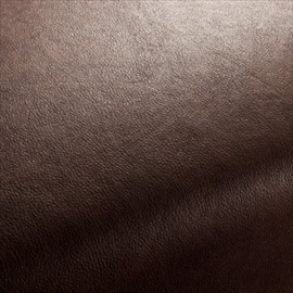 Boxter CA1038-024