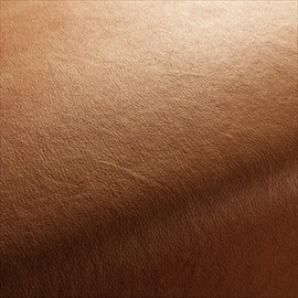Boxter CA1038-061