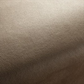 Boxter CA1038-074