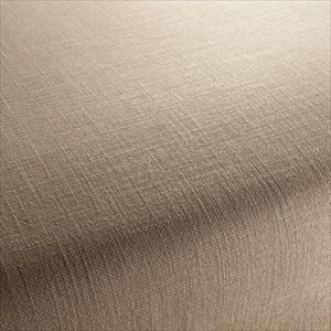 Focus CA1118-020