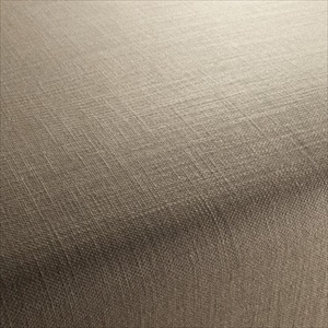 Focus CA1118-024