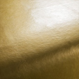 Coyote CA7827-040