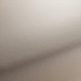 Mercury CA7933-079
