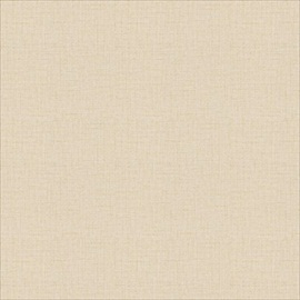 Wish CA8163-040