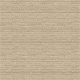 Wild CA8164-040