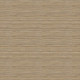 Wild CA8164-071