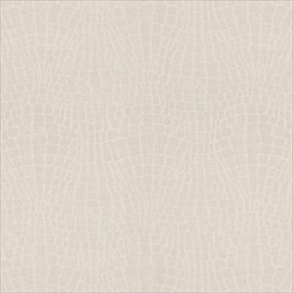 Wonderwall CA8168-090