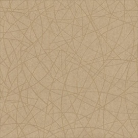 Wonder CA8171-040