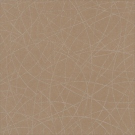 Wonder CA8171-070
