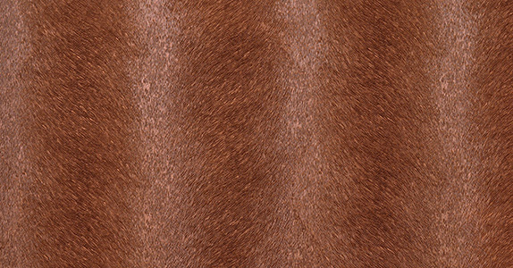 Caballo CAB-104