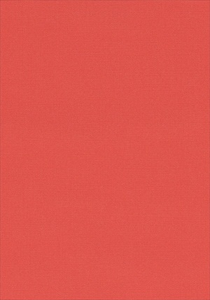Cabana Cloth W80037
