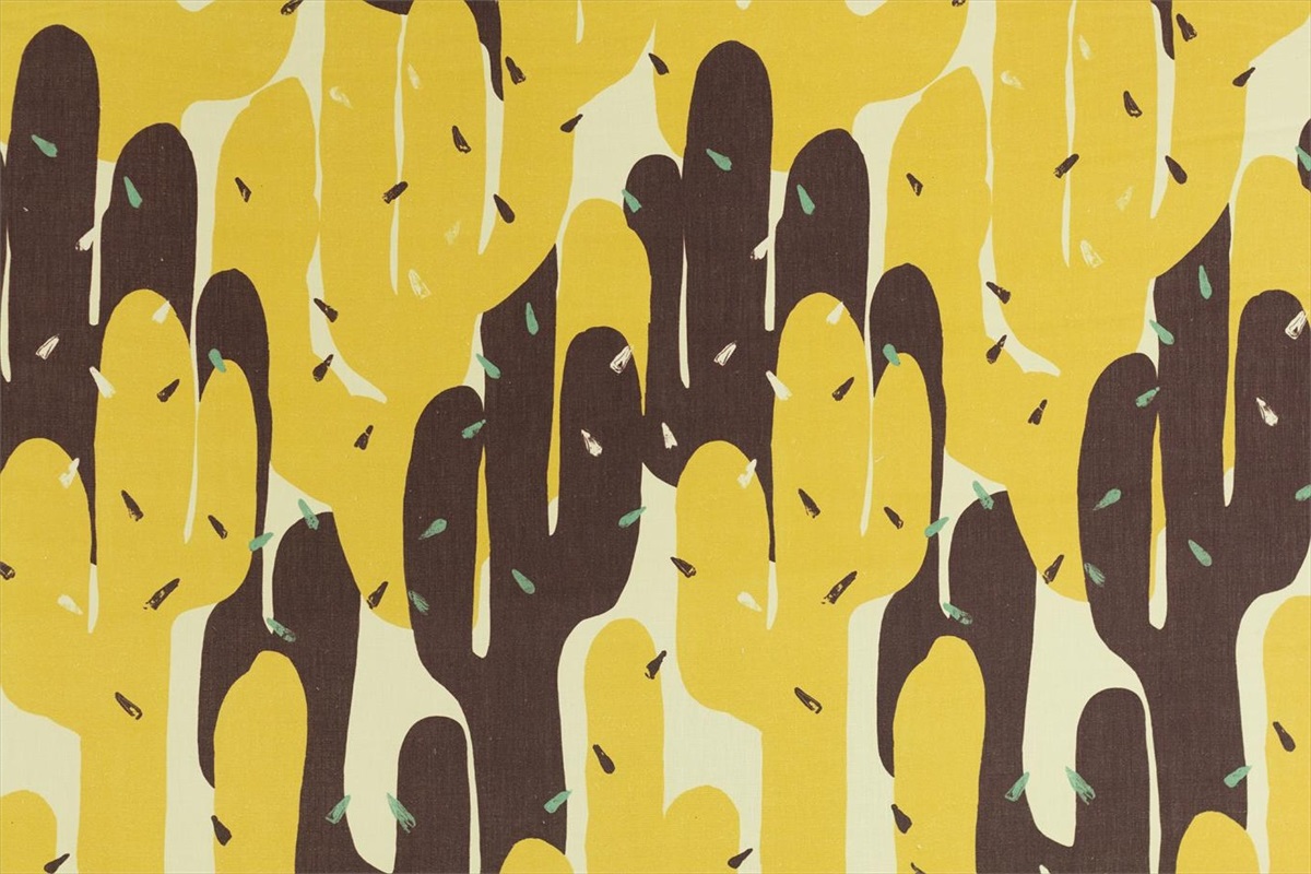 Cactus Giallo