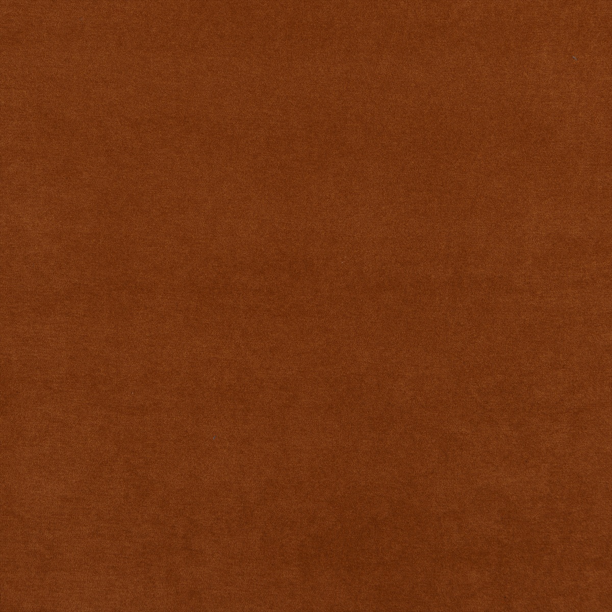 Cadogan PF50439-330