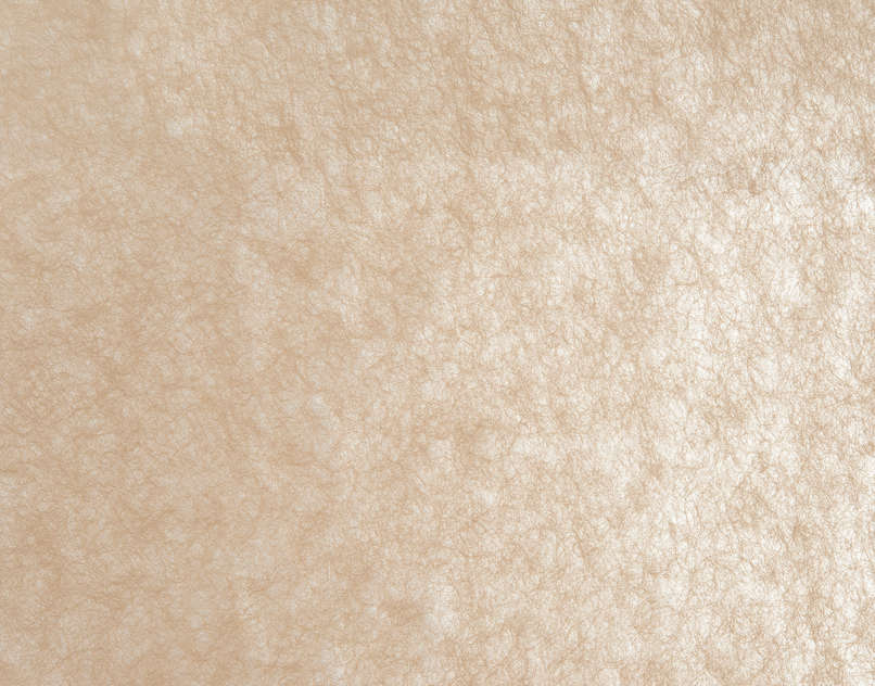 Cajon FP359001