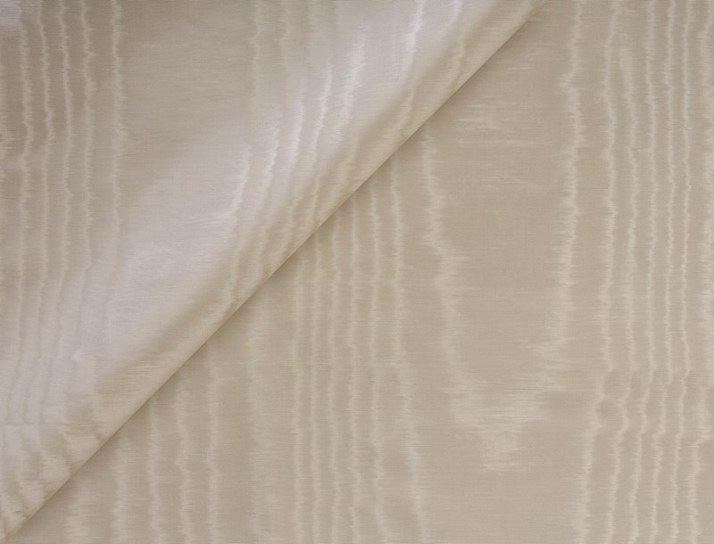 Cala 3638-03