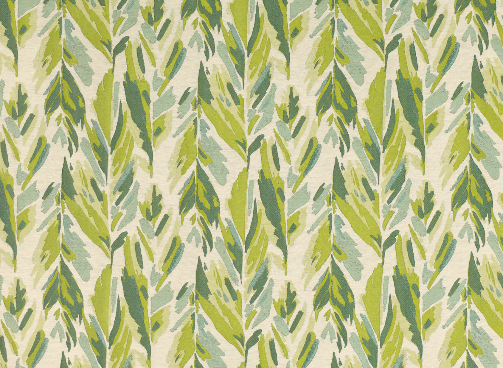 Calathea Eden V3379-01
