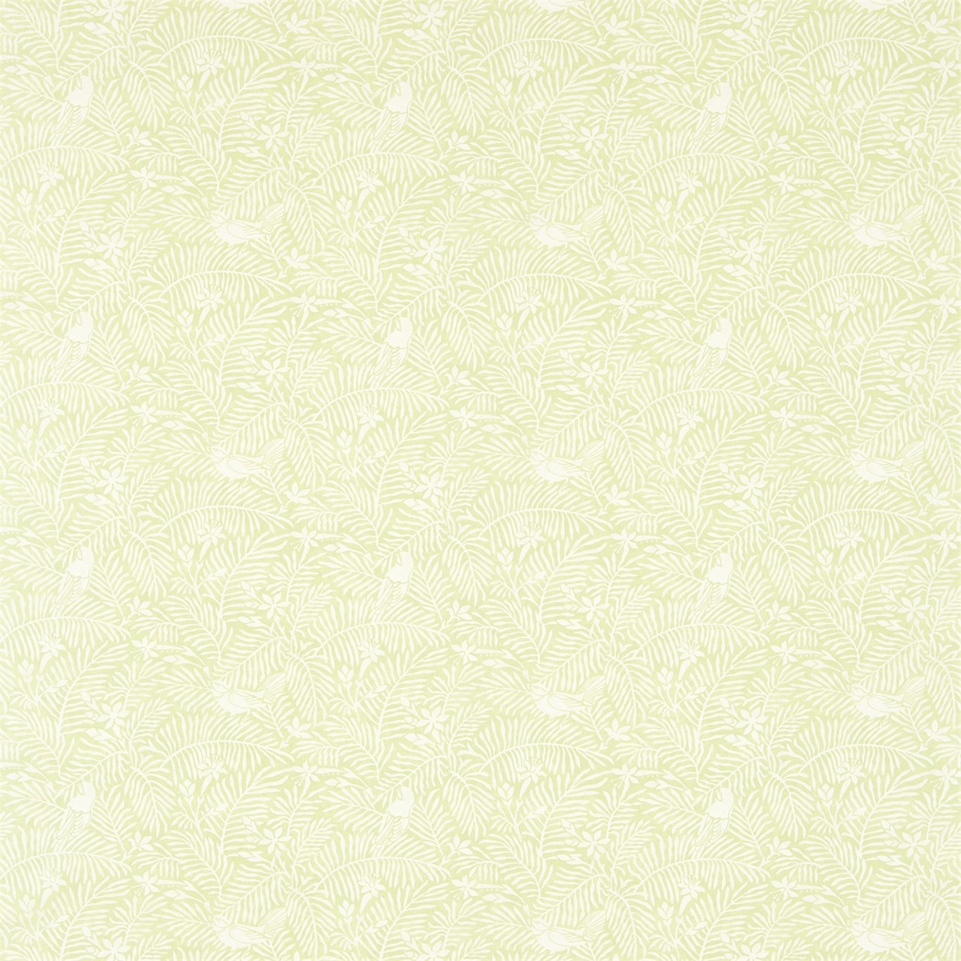 Calico Birds DCHK223582