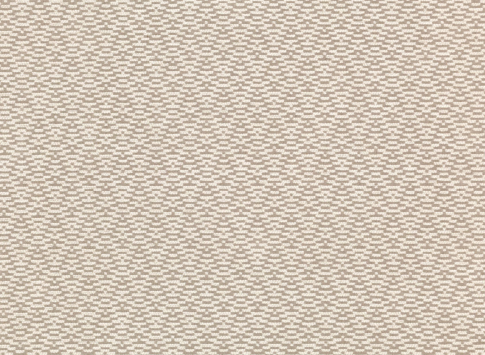 Calida Jasmine 7883-01