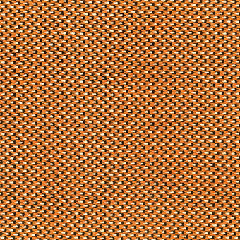 Calina MLF2271-06