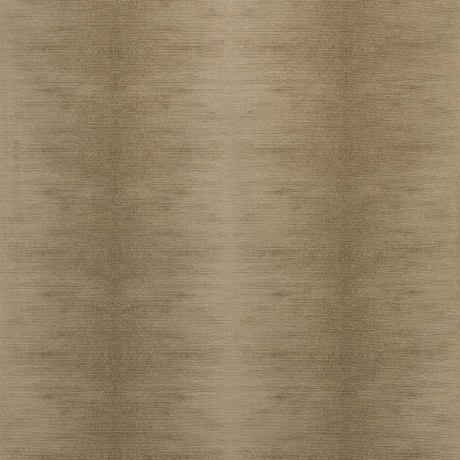 Calypso NCF4242-05