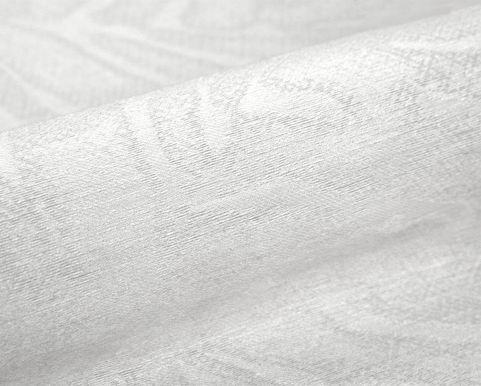 Camellia 110899-1