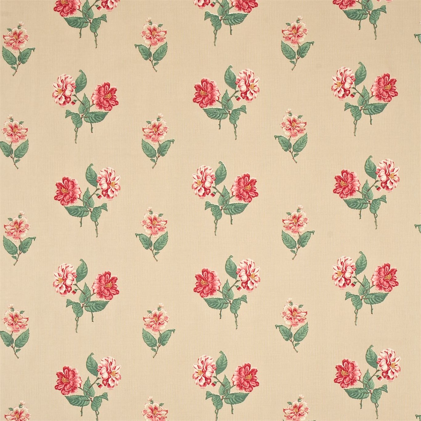 Camellia Blossom DCAVCM201