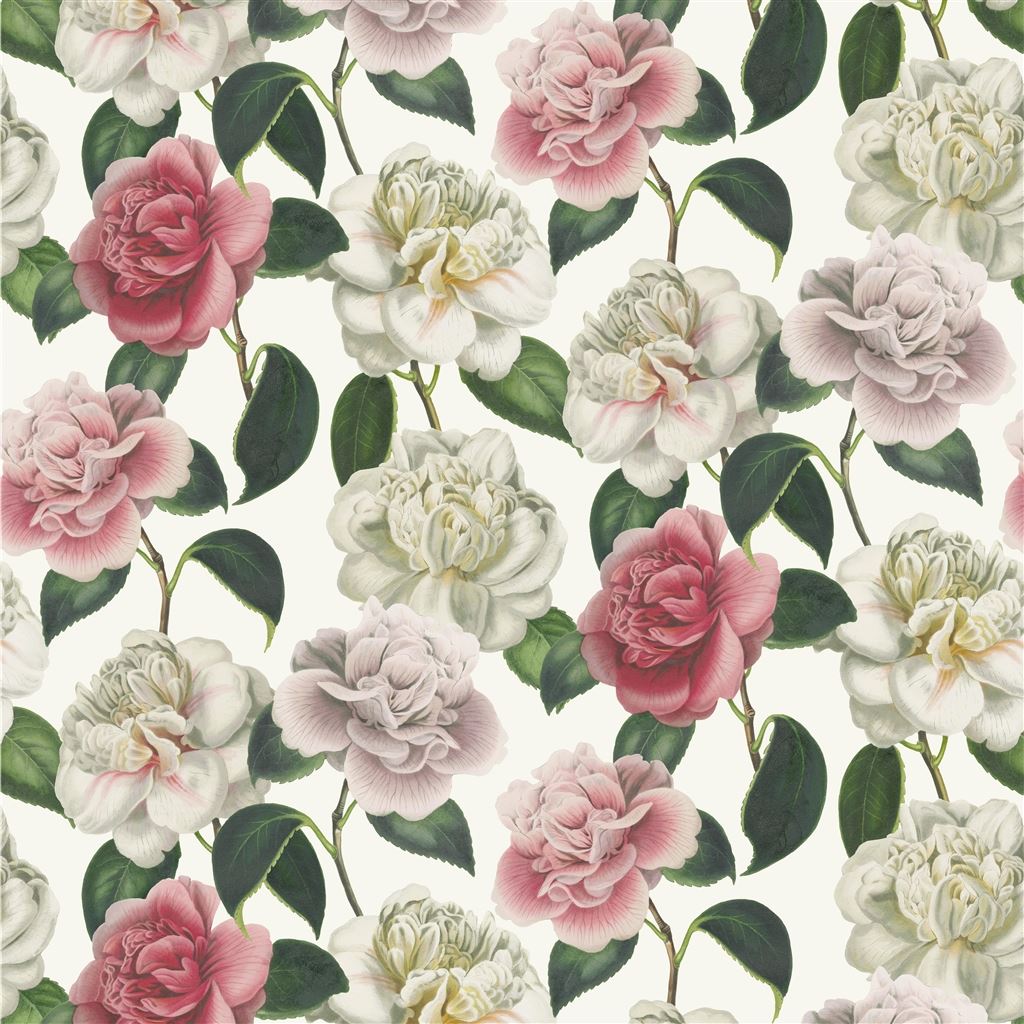 Camellia Folly FJD6020-01