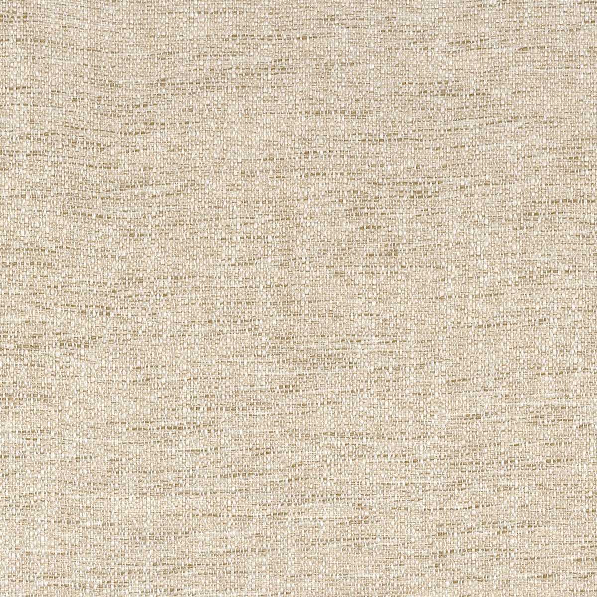 Tramea FR 48920322