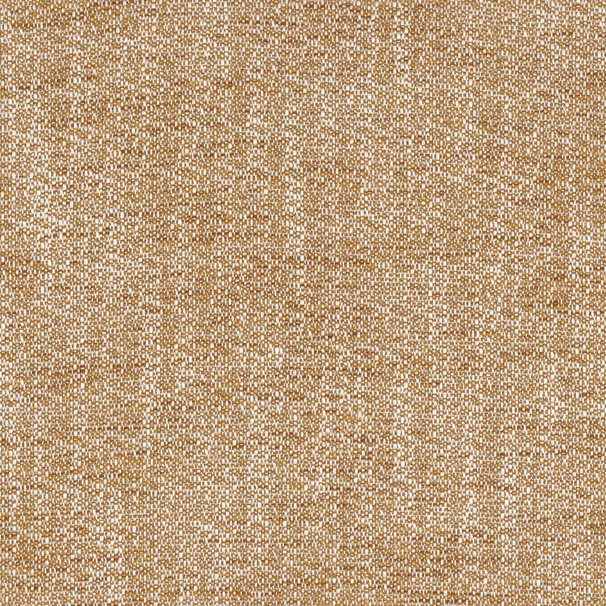 Tramea FR 48920475