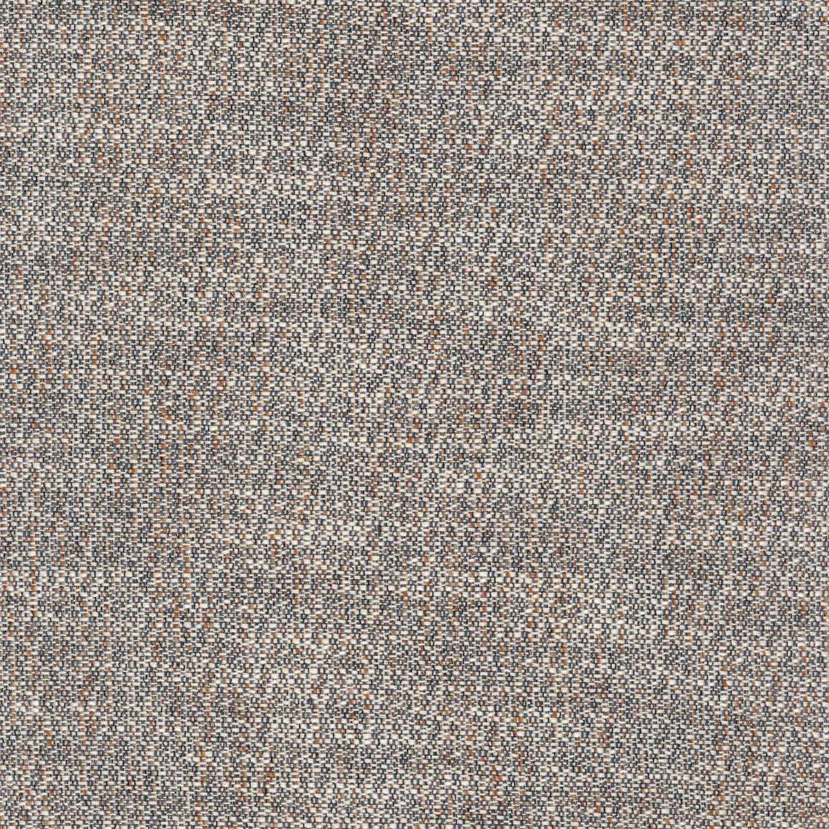 Tramea FR 48920744