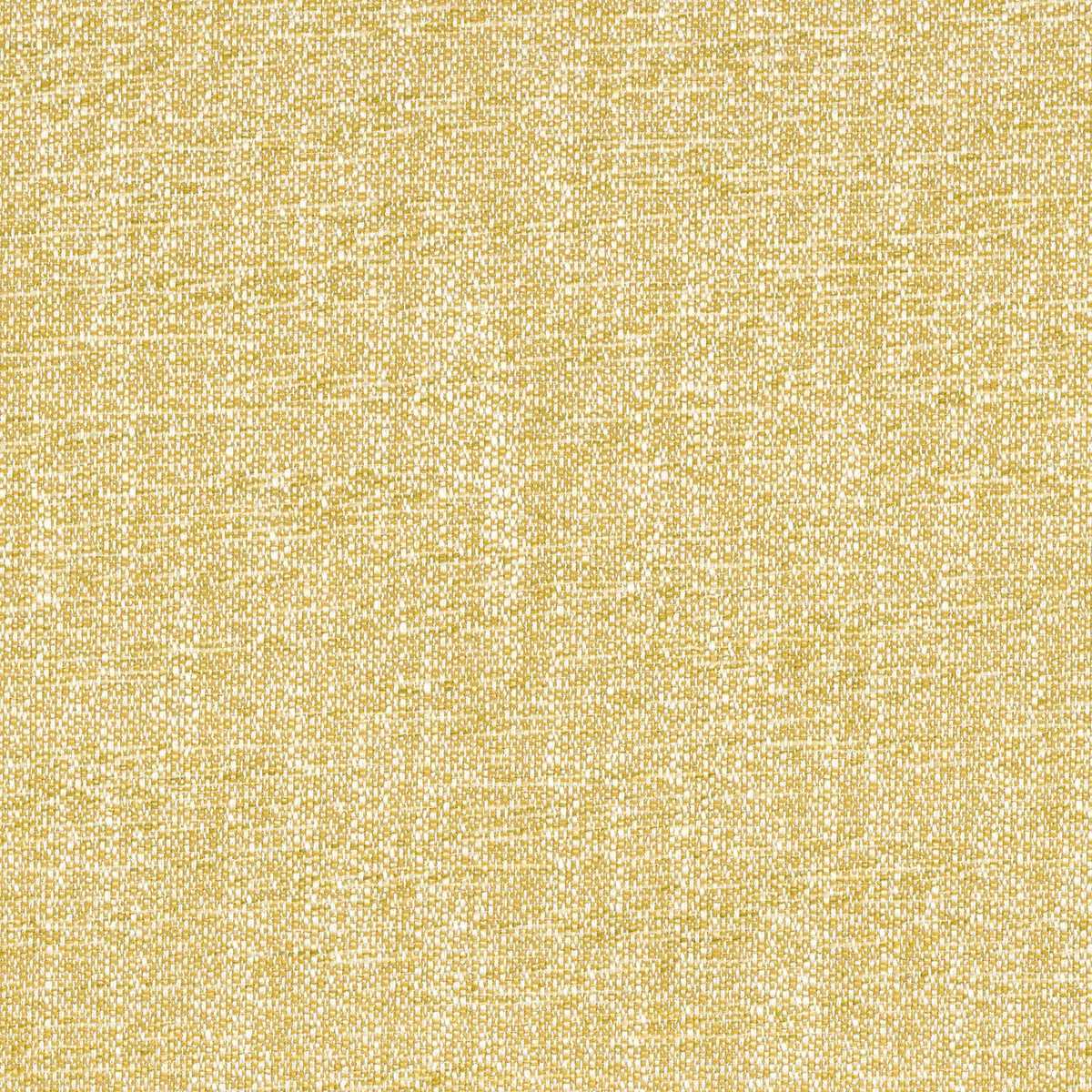 Tramea FR 48920924